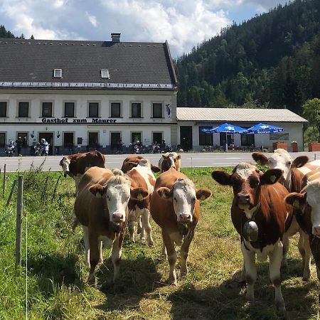 Gasthof Zum Maurer Ξενοδοχείο Mariazell Εξωτερικό φωτογραφία